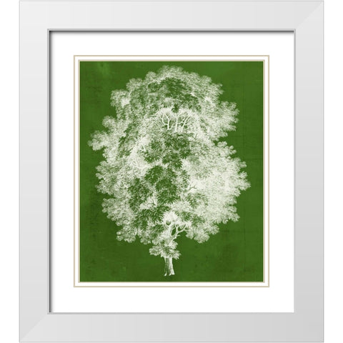 Modern Arbor IV White Modern Wood Framed Art Print with Double Matting by Vision Studio