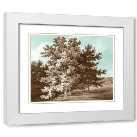 Serene Trees I White Modern Wood Framed Art Print with Double Matting by Kennion, Edward