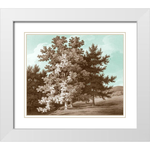 Serene Trees I White Modern Wood Framed Art Print with Double Matting by Kennion, Edward