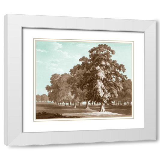 Perspective Image