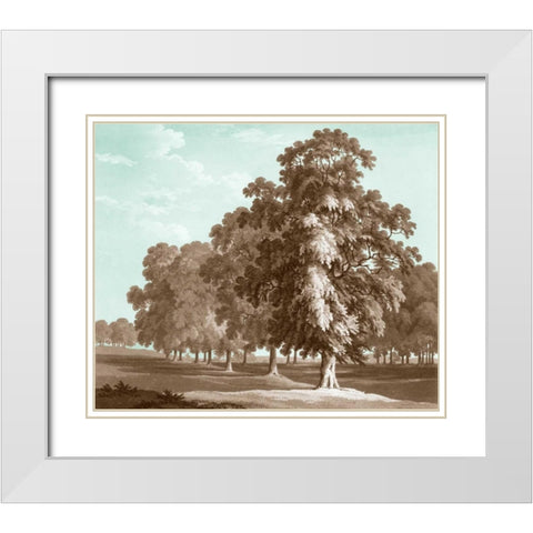 Serene Trees II White Modern Wood Framed Art Print with Double Matting by Kennion, Edward