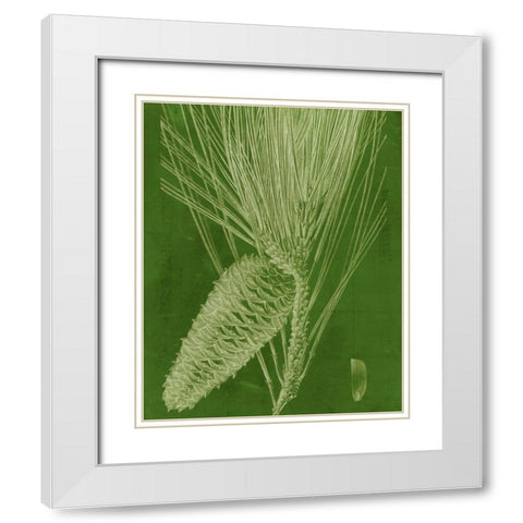 Modern Pine II White Modern Wood Framed Art Print with Double Matting by Vision Studio