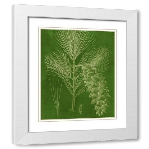 Modern Pine VI White Modern Wood Framed Art Print with Double Matting by Vision Studio