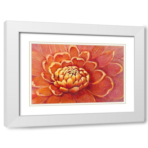 Micro Floral II White Modern Wood Framed Art Print with Double Matting by OToole, Tim