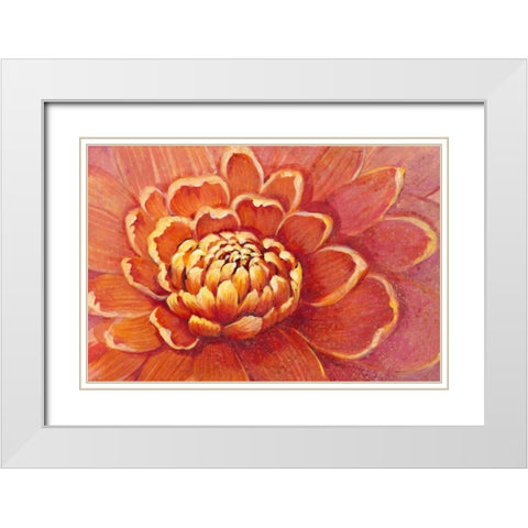 Micro Floral II White Modern Wood Framed Art Print with Double Matting by OToole, Tim