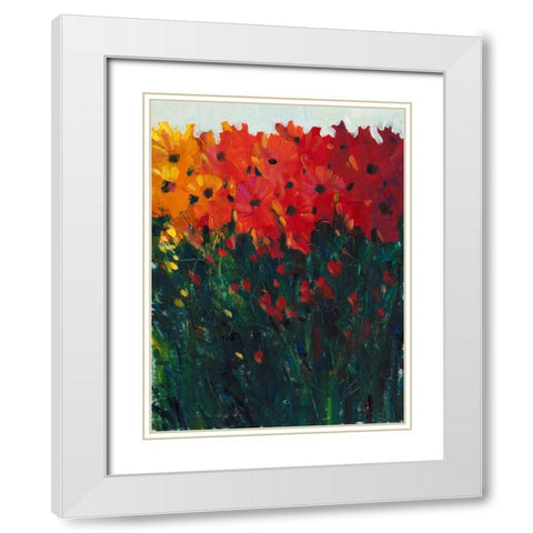 Color Spectrum Flowers I White Modern Wood Framed Art Print with Double Matting by OToole, Tim