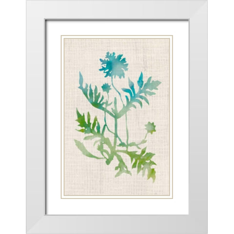 Watercolor Plants III White Modern Wood Framed Art Print with Double Matting by McCavitt, Naomi
