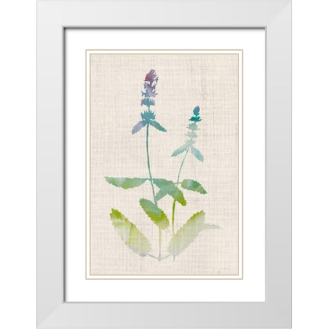 Watercolor Plants IV White Modern Wood Framed Art Print with Double Matting by McCavitt, Naomi