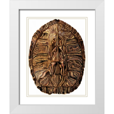 Tortoise Shell Detail II White Modern Wood Framed Art Print with Double Matting by McCavitt, Naomi