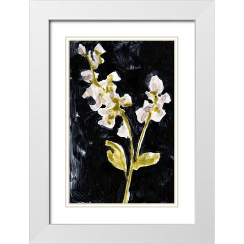 Midnight Phlox I White Modern Wood Framed Art Print with Double Matting by Goldberger, Jennifer
