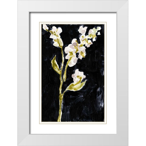 Midnight Phlox II White Modern Wood Framed Art Print with Double Matting by Goldberger, Jennifer