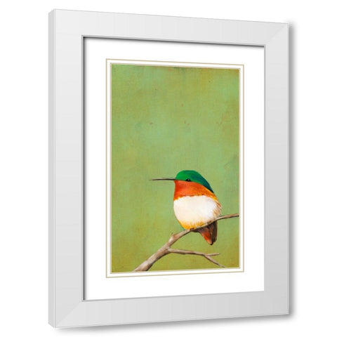 Perch III White Modern Wood Framed Art Print with Double Matting by Altug, Mehmet