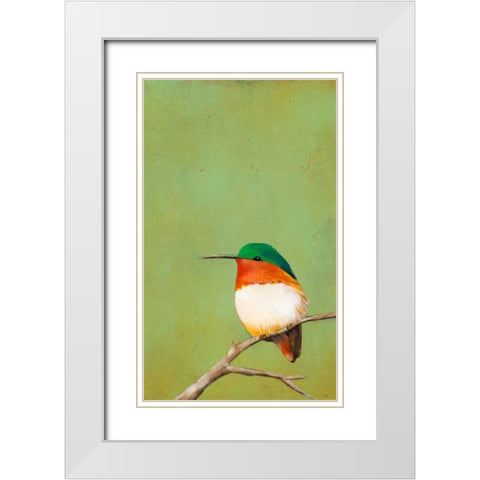 Perch III White Modern Wood Framed Art Print with Double Matting by Altug, Mehmet