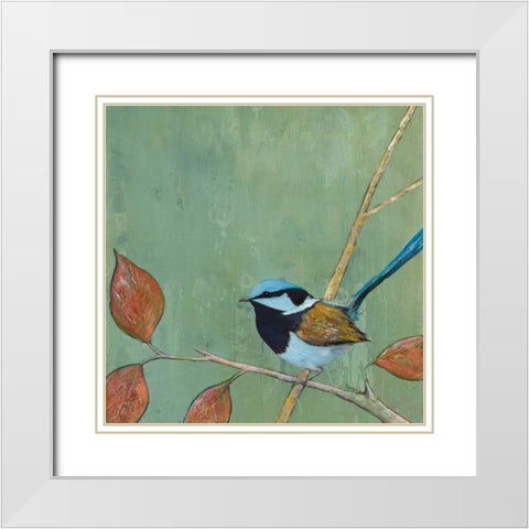 Resting Bird I White Modern Wood Framed Art Print with Double Matting by Altug, Mehmet