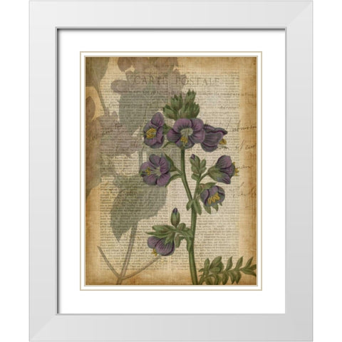 Fuchsia Flowers I White Modern Wood Framed Art Print with Double Matting by Studio W