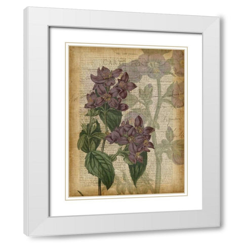 Fuchsia Flowers II White Modern Wood Framed Art Print with Double Matting by Studio W