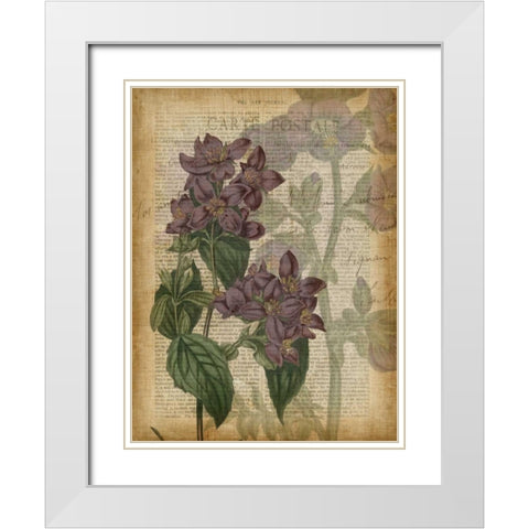 Fuchsia Flowers II White Modern Wood Framed Art Print with Double Matting by Studio W