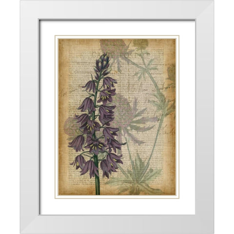 Fuchsia Flowers IV White Modern Wood Framed Art Print with Double Matting by Studio W