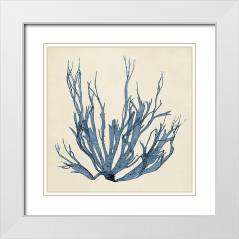 Coastal Seaweed I White Modern Wood Framed Art Print with Double Matting by Vision Studio