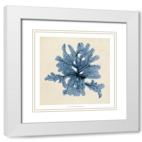 Coastal Seaweed IV White Modern Wood Framed Art Print with Double Matting by Vision Studio