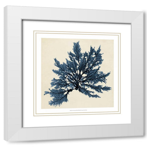 Coastal Seaweed IX White Modern Wood Framed Art Print with Double Matting by Vision Studio