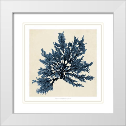 Coastal Seaweed IX White Modern Wood Framed Art Print with Double Matting by Vision Studio