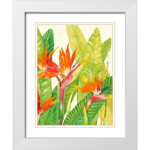 Watercolor Tropical Flowers IV White Modern Wood Framed Art Print with Double Matting by OToole, Tim