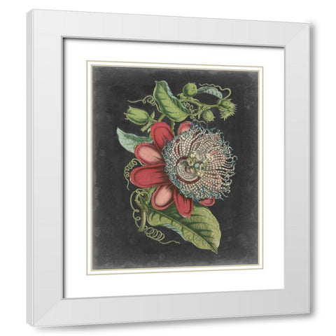 Dramatic Tropical Beauty I White Modern Wood Framed Art Print with Double Matting by Wiek, John