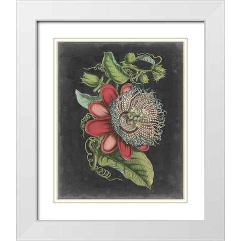 Dramatic Tropical Beauty I White Modern Wood Framed Art Print with Double Matting by Wiek, John