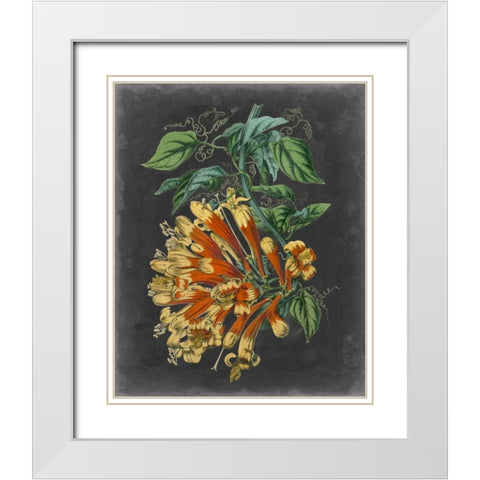 Dramatic Tropical Beauty II White Modern Wood Framed Art Print with Double Matting by Wiek, John