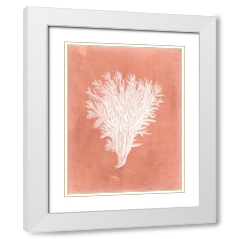 Sealife on Coral II White Modern Wood Framed Art Print with Double Matting by Vision Studio