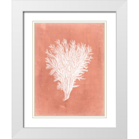 Sealife on Coral II White Modern Wood Framed Art Print with Double Matting by Vision Studio