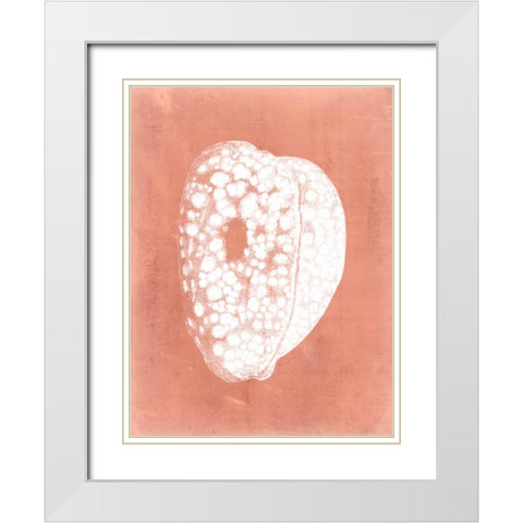 Sealife on Coral III White Modern Wood Framed Art Print with Double Matting by Vision Studio