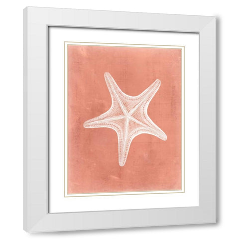 Sealife on Coral IV White Modern Wood Framed Art Print with Double Matting by Vision Studio