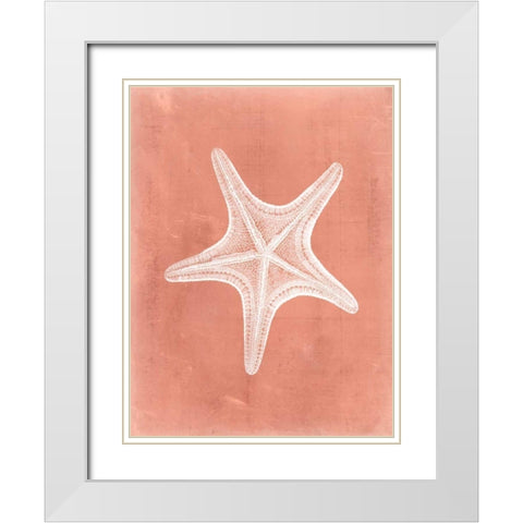 Sealife on Coral IV White Modern Wood Framed Art Print with Double Matting by Vision Studio