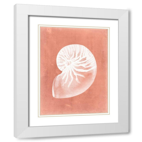 Sealife on Coral V White Modern Wood Framed Art Print with Double Matting by Vision Studio