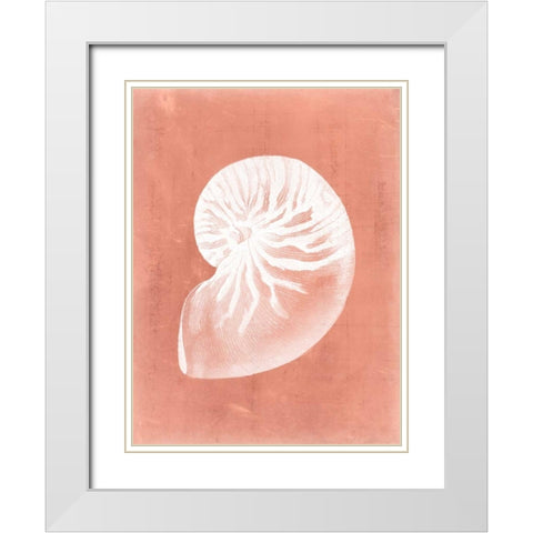 Sealife on Coral V White Modern Wood Framed Art Print with Double Matting by Vision Studio
