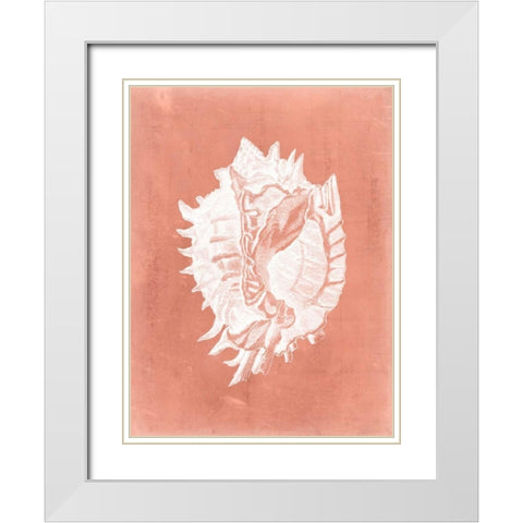 Sealife on Coral VI White Modern Wood Framed Art Print with Double Matting by Vision Studio