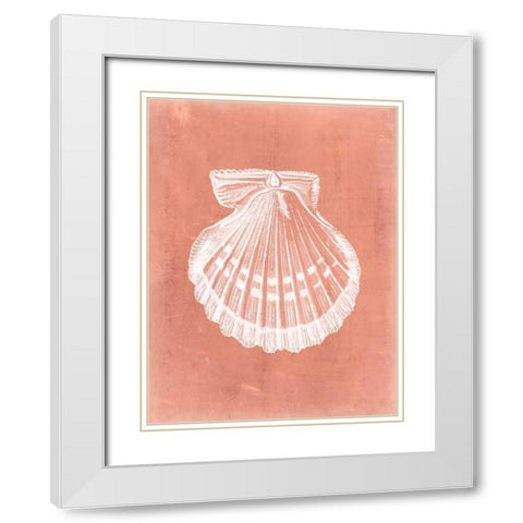 Sealife on Coral VII White Modern Wood Framed Art Print with Double Matting by Vision Studio