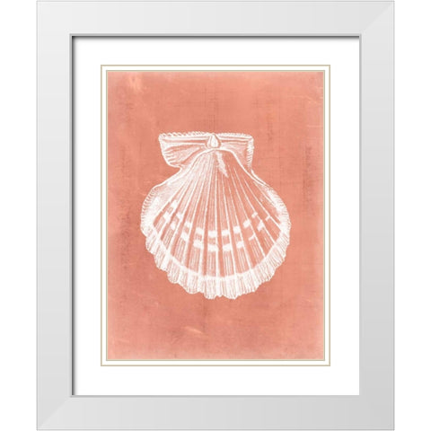 Sealife on Coral VII White Modern Wood Framed Art Print with Double Matting by Vision Studio