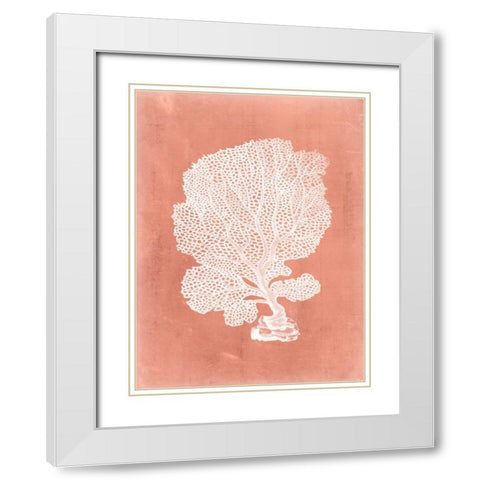 Sealife on Coral VIII White Modern Wood Framed Art Print with Double Matting by Vision Studio
