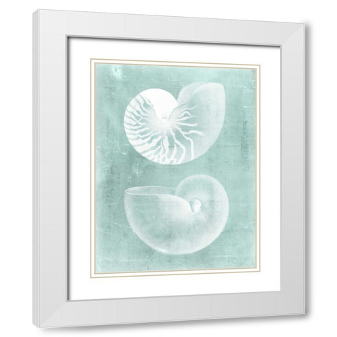 Nautilus on Spa I White Modern Wood Framed Art Print with Double Matting by Vision Studio