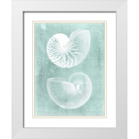 Nautilus on Spa I White Modern Wood Framed Art Print with Double Matting by Vision Studio