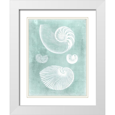 Nautilus on Spa II White Modern Wood Framed Art Print with Double Matting by Vision Studio
