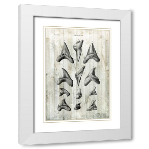 Relic Hunter II White Modern Wood Framed Art Print with Double Matting by Vision Studio