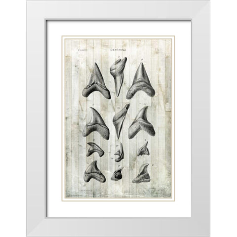 Relic Hunter II White Modern Wood Framed Art Print with Double Matting by Vision Studio