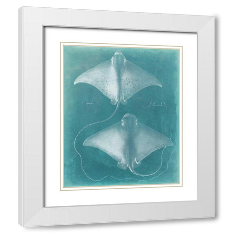 Morning Swim I White Modern Wood Framed Art Print with Double Matting by Vision Studio