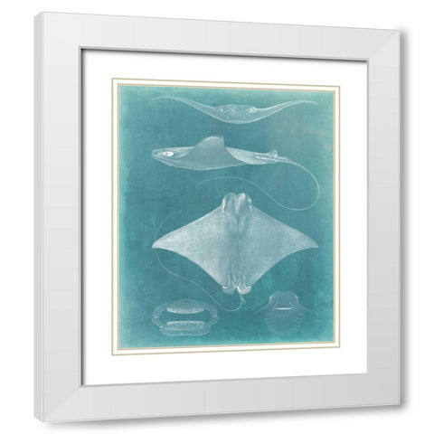 Morning Swim II White Modern Wood Framed Art Print with Double Matting by Vision Studio