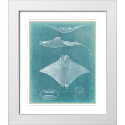 Morning Swim II White Modern Wood Framed Art Print with Double Matting by Vision Studio