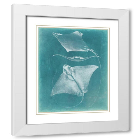 Morning Swim III White Modern Wood Framed Art Print with Double Matting by Vision Studio